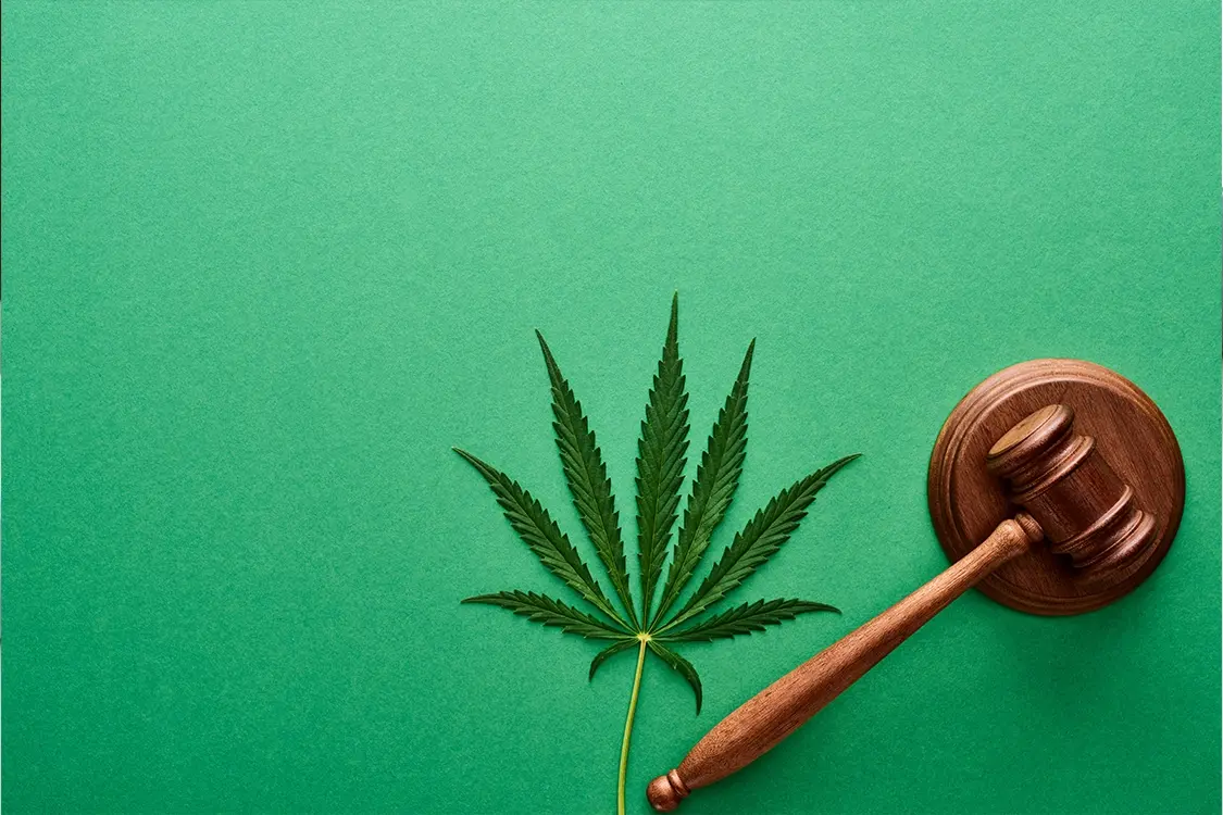 Leia mais sobre o artigo Descriminalização da maconha: o que muda legalmente com a decisão do STF?